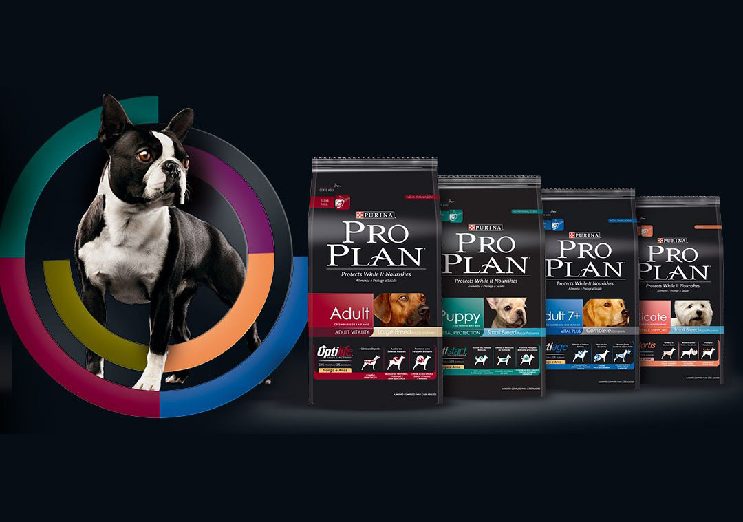 CBABG-Proplan-Cover-1